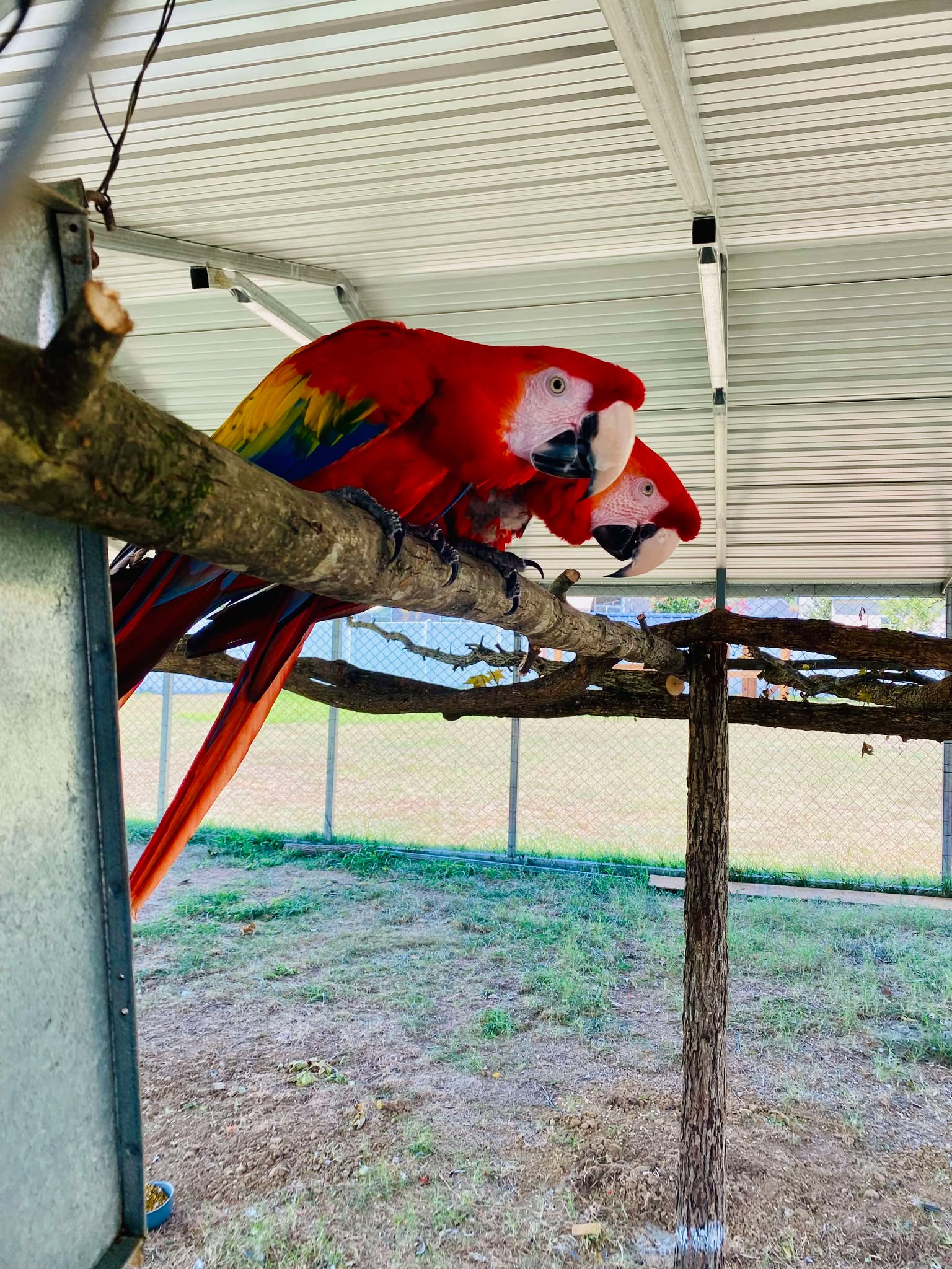 Milele sanctuary wildlife