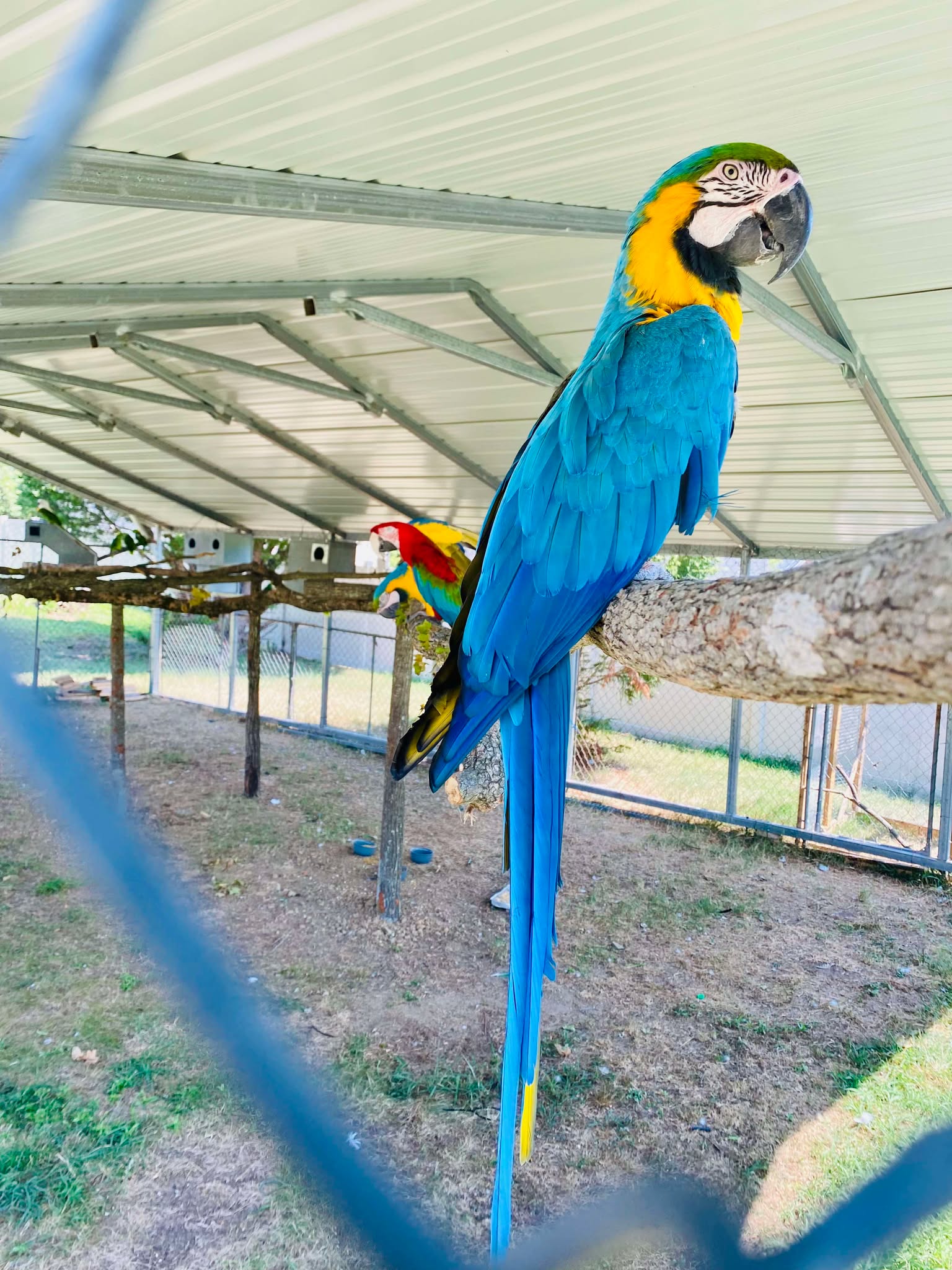 Milele sanctuary wildlife